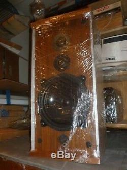 1970s Pair of Vintage B&W Bowers & Wilkins DM 4 Speakers. Super RARE