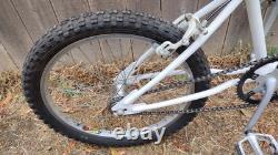 1980'S Redline 20 BMX Bike. Super RARE Vintage Bike Chrome