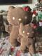 2 Hello Kitty Plush Gingerbread Men Super Rare Vintage Sanrio
