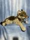FAO Schwarz Super Rare Vintage Brown Timber Wolf Plush Stuffed Animal 27 Long