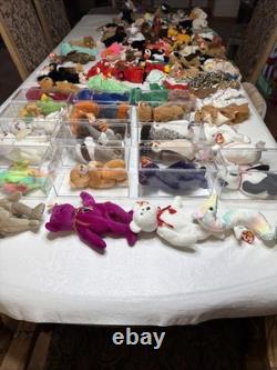Massive Super Rare Vintage Beanie Babys collection