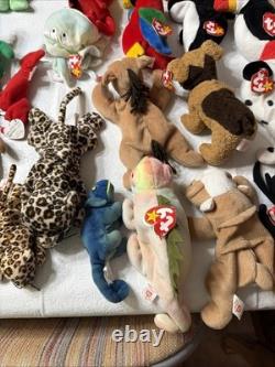 Massive Super Rare Vintage Beanie Babys collection