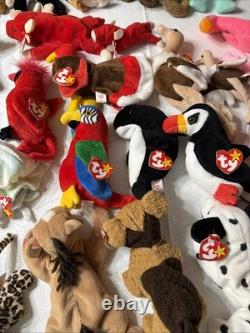 Massive Super Rare Vintage Beanie Babys collection