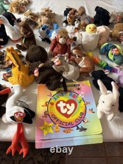 Massive Super Rare Vintage Beanie Babys collection