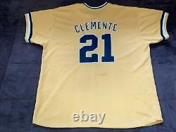 SUPER RARE MLB Vintage Jerseys Fisk Clemente Beltran Schmidt Stargel Robinson