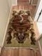 SUPER RARE & UNIQUE Tibetan Tiger Asiatic Rug / Rare/Vintage Tibetan Rug/ Koi