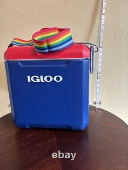 SUPER RARE VINTAGE RAINBOW IGLOO COOLER RETRO 1990s MADE IN USA GREAT CONDITION