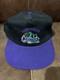 SUPER RARE! Vintage 90s Adventureland Iowa THE DRAGON Snapback Cap, OSFA