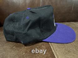 SUPER RARE! Vintage 90s Adventureland Iowa THE DRAGON Snapback Cap, OSFA