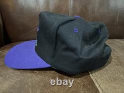 SUPER RARE! Vintage 90s Adventureland Iowa THE DRAGON Snapback Cap, OSFA