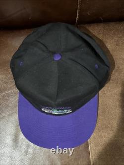 SUPER RARE! Vintage 90s Adventureland Iowa THE DRAGON Snapback Cap, OSFA