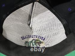 SUPER RARE! Vintage 90s Adventureland Iowa THE DRAGON Snapback Cap, OSFA