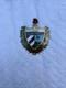 SUPER RARE! Vintage Car Badge Cuba Made In Spain Used (215)