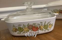 SUPER RARE Vintage Corning Ware Spice of Life Set with Lids (1972-1988)