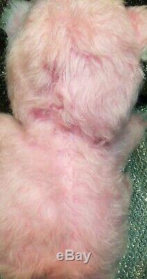 SUPER RARE! Vintage Rushton 17.5 Pink Rubber Face Happy Bear