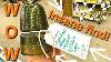 Super Rare Insulator Vintage Toys Old Bottles Porcelain Signs Antique Treasure Hunt Look