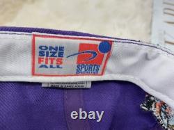 Super Rare Vintage 90s Orlando Solar Bears Purple Sports Specialties Snapback