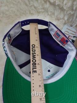Super Rare Vintage 90s Orlando Solar Bears Purple Sports Specialties Snapback