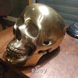 Super Rare Vintage Brass Skull Ornament Sculpture Antique From import Japan F/S