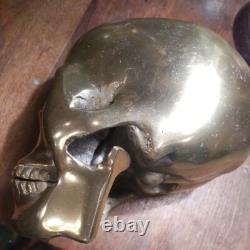 Super Rare Vintage Brass Skull Ornament Sculpture Antique From import Japan F/S