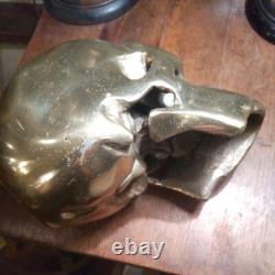 Super Rare Vintage Brass Skull Ornament Sculpture Antique From import Japan F/S