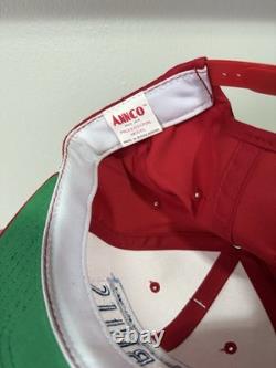 Super Rare Vintage Chicago Bulls License Plate Snapback Hat Annco Pro Model NWT