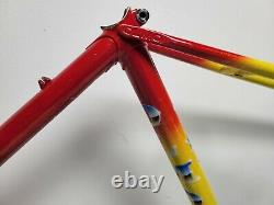 Vintage 1985 Olmo Nuevo Super Sprint Road Bike Frameset, Columbus Aelle, RARE