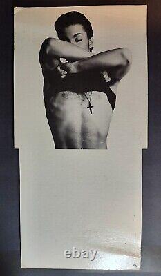 Vintage 1986 Prince Parade Promo Only Album Bin Card SUPER RARE