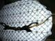 Vintage Mohawk Laser Bow Super Rare Designed by John Islas