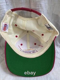 Vintage NFL Super Bowl XXIX Sharktooth Snapback Hat/Cap NWT RARE Pink