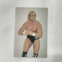 Vintage Super Rare Hulk Hogan NJPW Super Pro-Wrestler Series Card Poppy WWF WWE